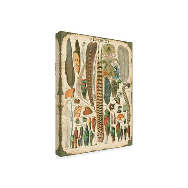 Jean Plout 'Feather Plumes' Canvas Art,24x32